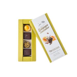4 Artisanal Chocolate Jewels Galapagos Conneisseur