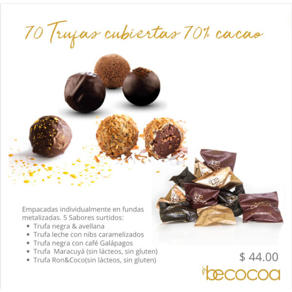 70 Individual Truffles - Each Featuring 5 Signature BeCocoa Flavors