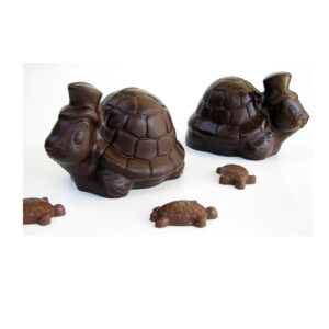 Cacao Turtle Figure